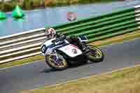 White Bikes
